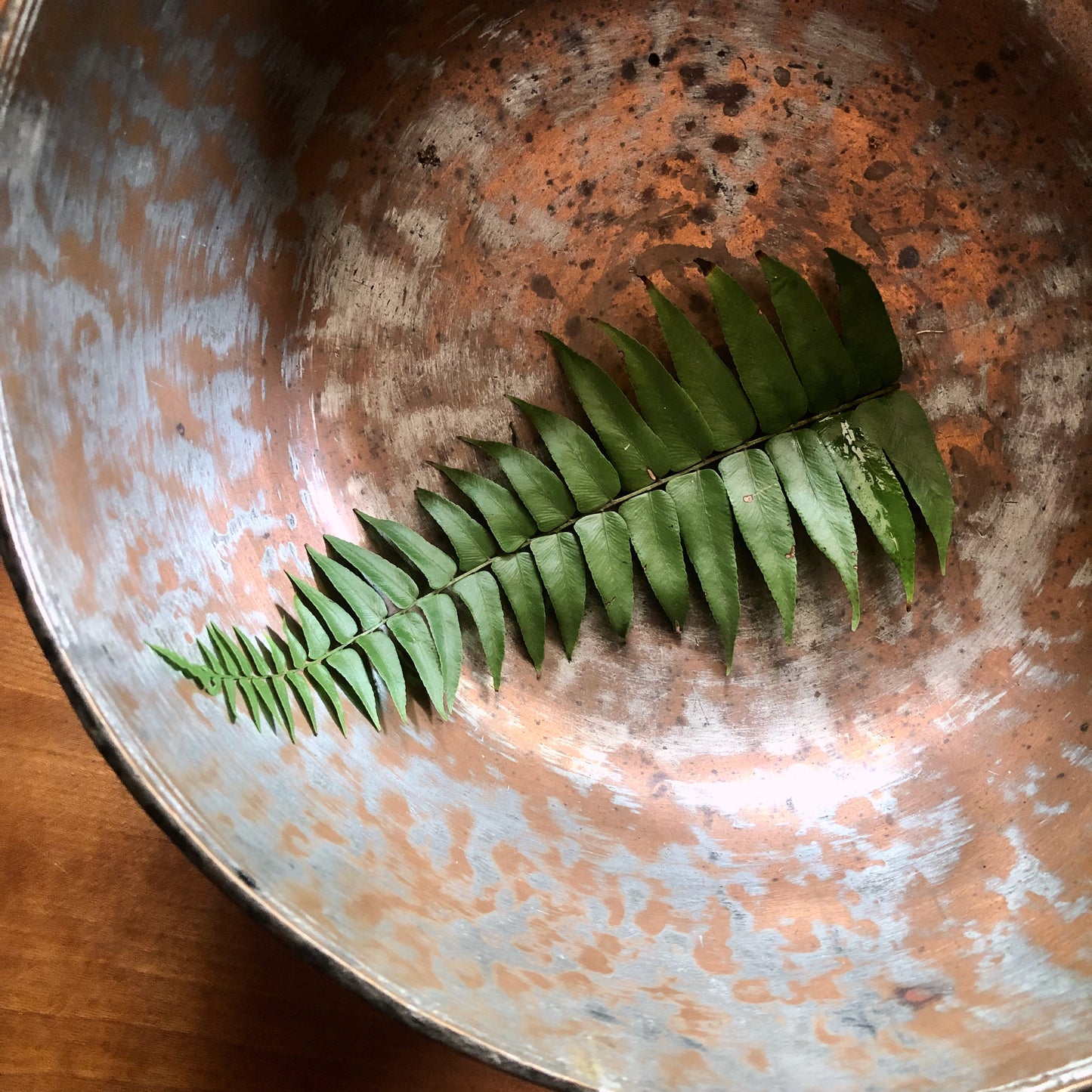 Antique Engraved Tinned Copper Bowl from Persia