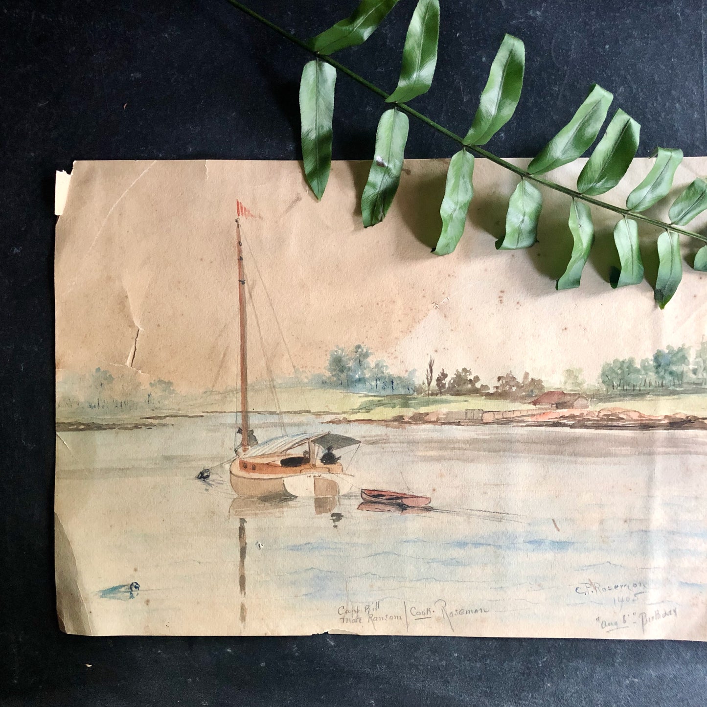 Antique Nautical Watercolor Painting by C.P. Roseman (c.1905)