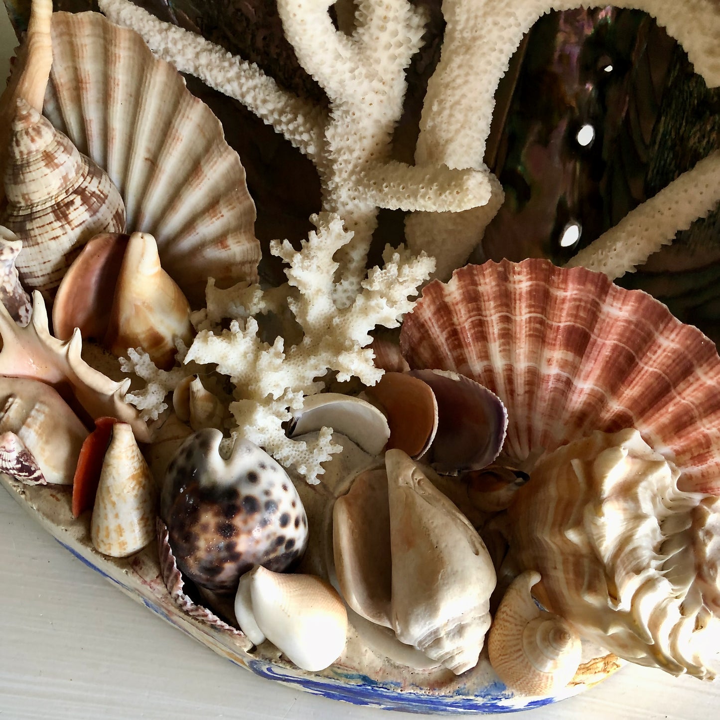 Large Mid Century Coral and Sea Shell Souvenir Lamp (c.1950s)