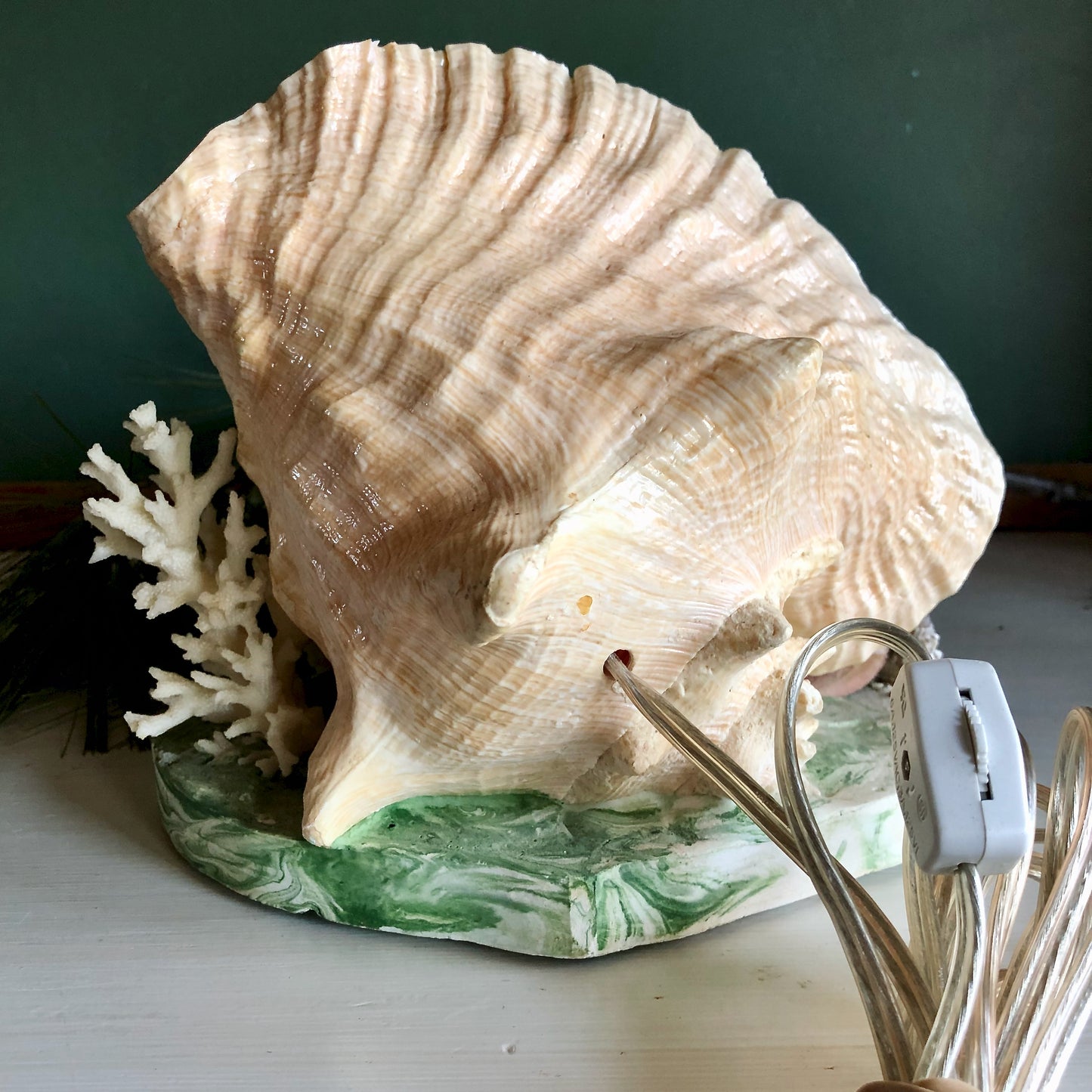 Vintage Florida Sea Shell Light (c1950s)