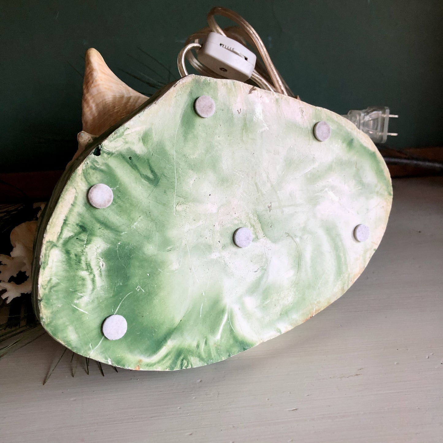 Vintage Florida Sea Shell Light (c1950s)