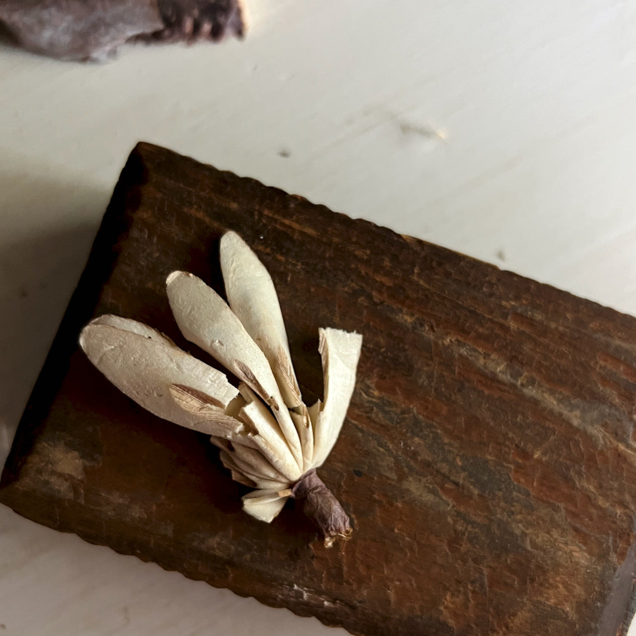 Americana Chip Carved Wooden Bank (c.1900s)