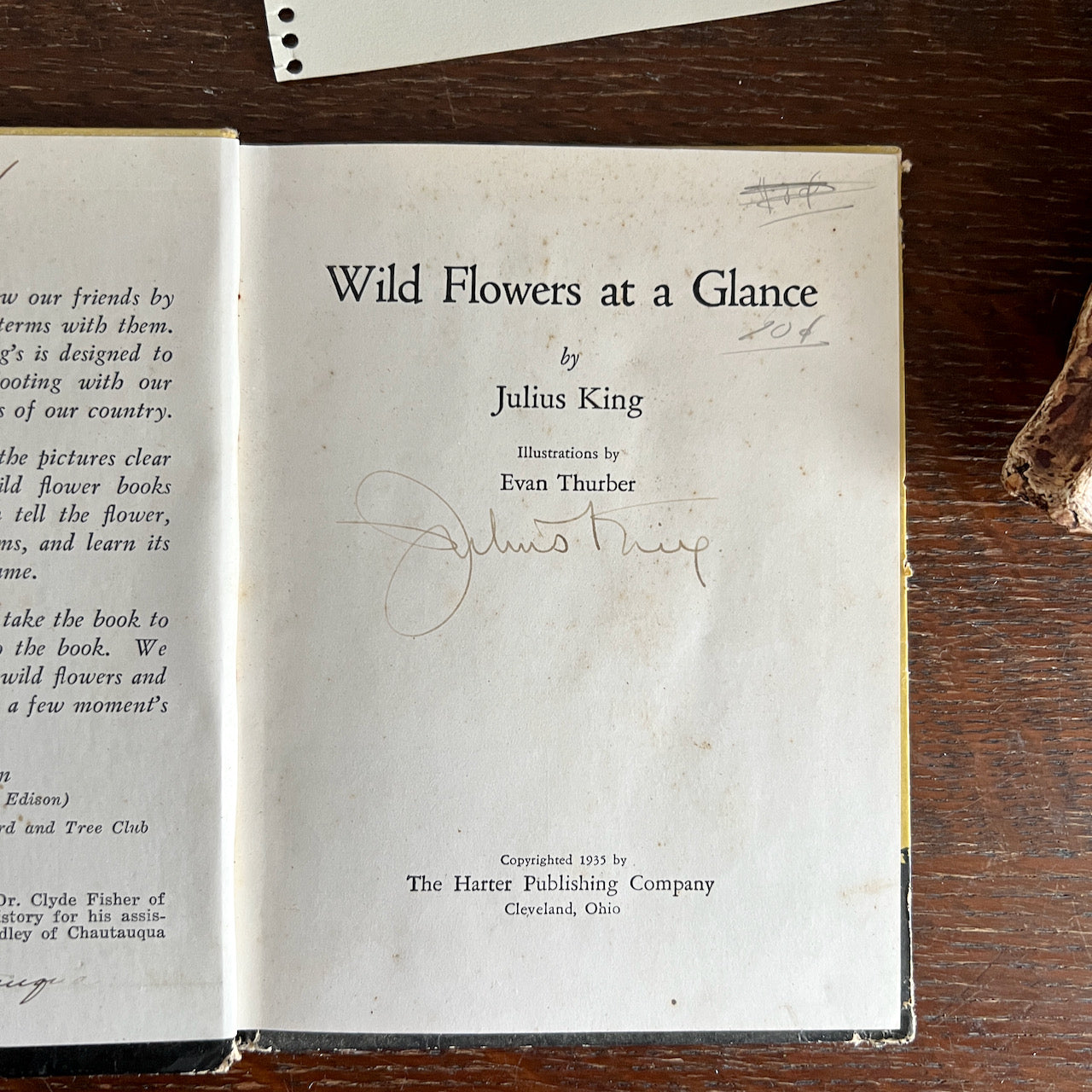 Signed Vintage Botanical Book, Wild Flowers at a Glance (c.1935)