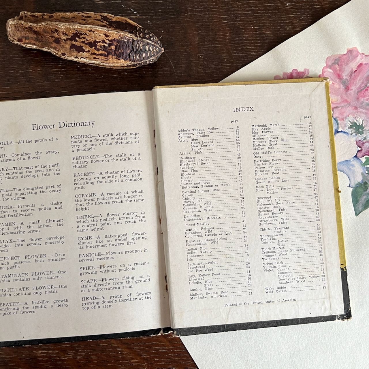 Signed Vintage Botanical Book, Wild Flowers at a Glance (c.1935)